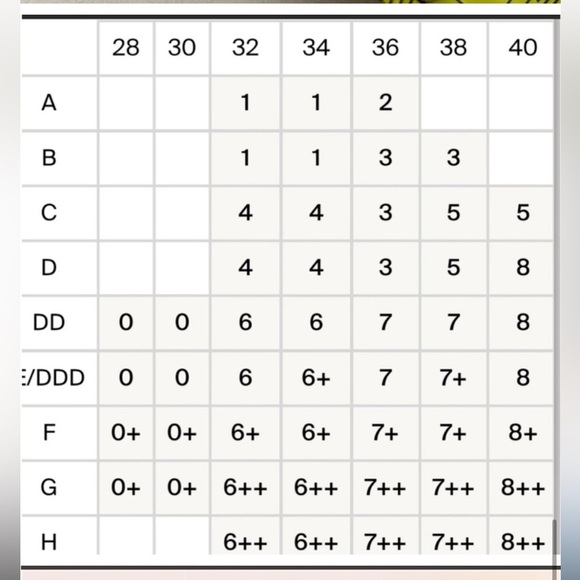 KNIX SZ 4 Wireless WingWoman Bra - Picture 2 of 10